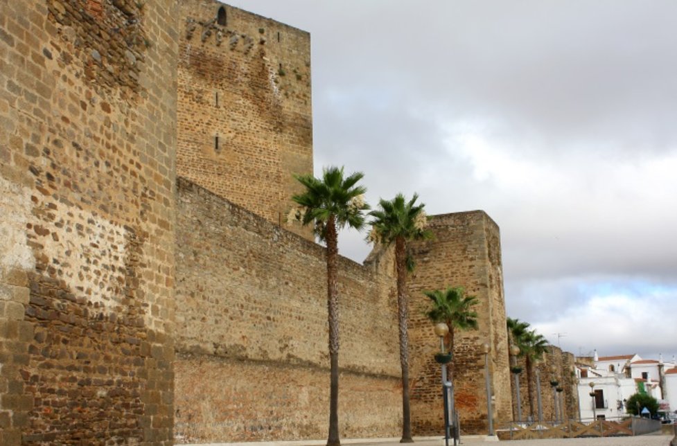 La Ciudadela: Alfonso IX de León y Alfonso X El Sabio de Castilla y León
